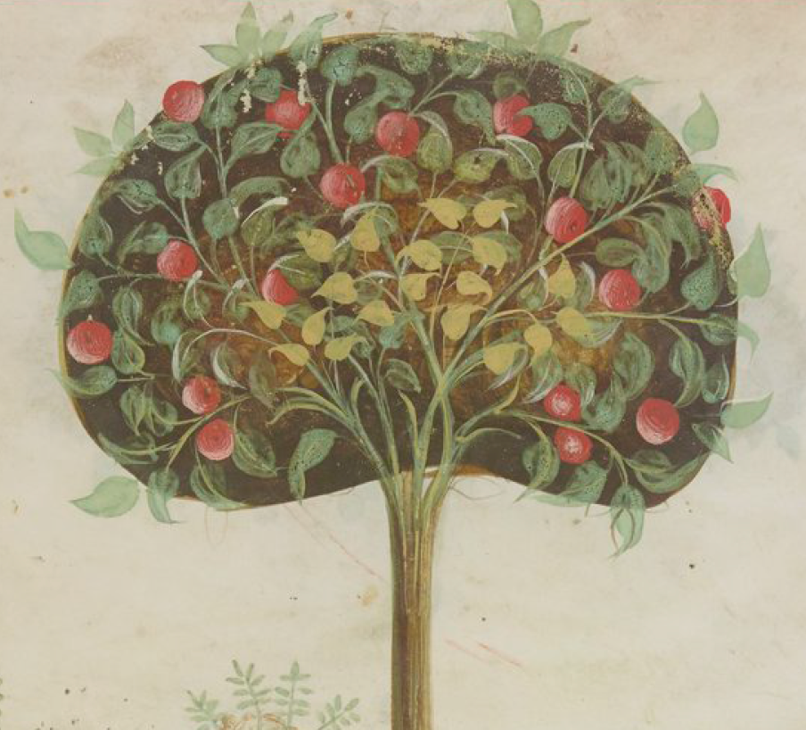 En période de confinement, l'association Alter Natives propose chaque jour, une bouffée d'air filmée par divers membres. Cherchons ensemble quels sont ces éléments de la nature et  contribuons à l'illustrer. Chacun peut collaborer par commentaires ou en envoyant dessin et lien vers films à anatives@gmail.com